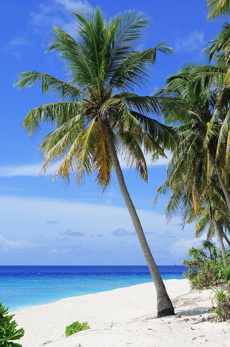 Maldives Beach